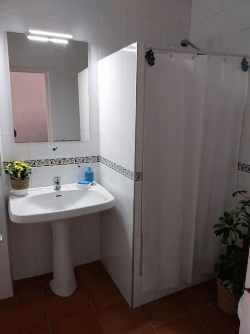 Ferienwohnung Cala Salions Balandro II Tossa De Mar Canet De Mar Exterior foto